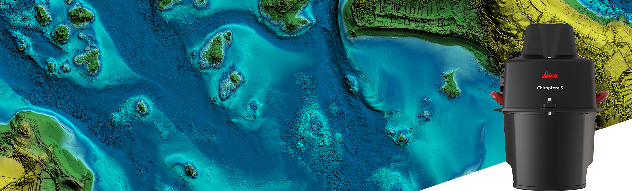 Header Image Chiroptera-5